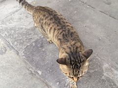 -正阳书局(西四南大街店)