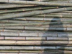 -陶祖圣境风景区