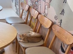 -Let's go狗咖·猫咖·奶狗·桌游(春熙路IFS店)