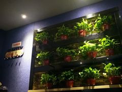 -舒心阁养生堂采耳(中山北路店)