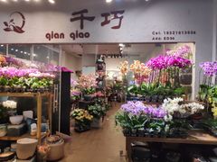-双季花艺园艺市场(浦东店)