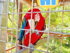 -水上乐园·欢乐世界