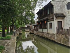 -鲁镇