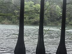 -四明山国家森林公园