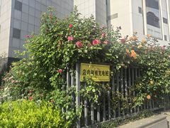 -武汉华美达光谷大酒店