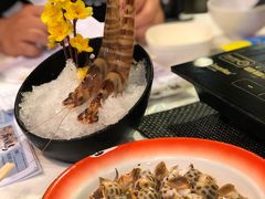 -鲜入围煮花胶鸡海鲜火锅