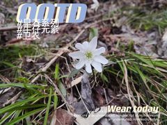 -秦岭风景区