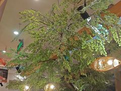 -九田家黑牛烤肉料理(珠江摩尔店)