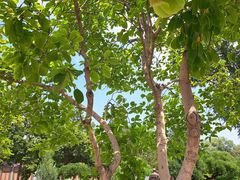 -国家图书馆·古籍馆