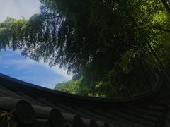 -藏龙百瀑风景区