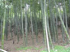 景点-穹窿山景区