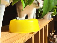 用餐区-小龙坎老火锅(北京三里屯店)