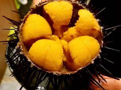 -桂马·日本料理·海胆·海鲜饭·酒场(民主广场店)