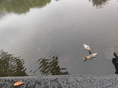 -阿育王寺