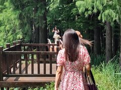 -东湖落雁景区