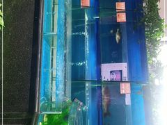 -眉州东坡(博雅店)