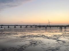 -南汇新城海滩