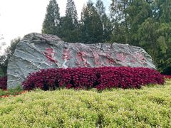 -东平国家森林公园