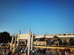 -宝安西湾红树林湿地公园