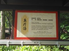 -三亚海棠湾南田温泉神龙谷