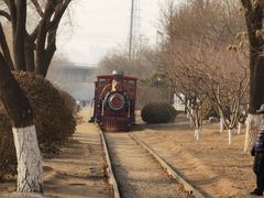 -永定河休闲森林公园