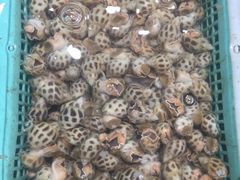-鑫悦楼煎蟹·16年海鲜大排档