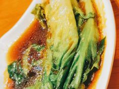 生菜-阳光茶餐