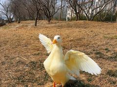 -马家湾湿地公园