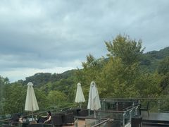-逸廊大堂吧-下午茶·简餐-千岛湖自由洲际殿