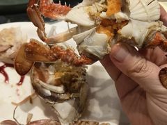 -半岛听涛蒸汽海鲜自助(K11店)