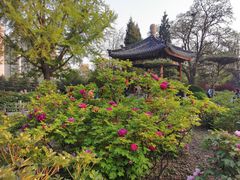 -迎泽公园