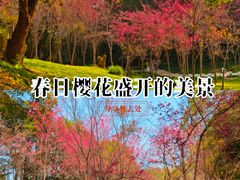 -福道