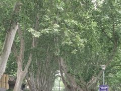 -T80科技文化国际社区-停车场