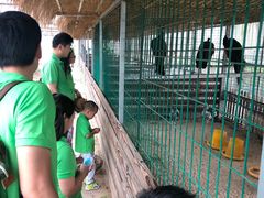 -上海多利农业发展有限公司