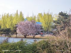 -青龙湖公园
