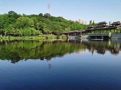 -重庆彩云湖湿地公园