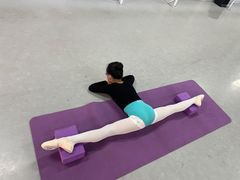 -舞蕾舞蹈(特长生校区)