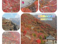 -周口店坡峰岭风景区