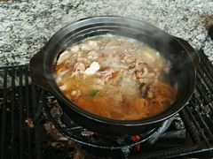 -蘑统田下·野生菌火锅