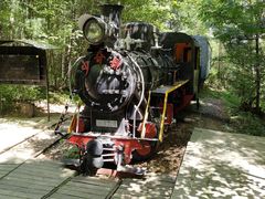 -五营红松林海景区