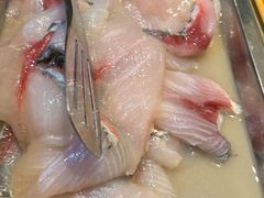 -大拿渔火锅(万豪白领富贵西园店)