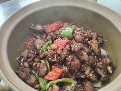 -常来老白莲鹅饭店(老城店)