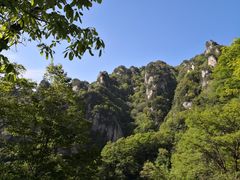 -王顺山国家森林公园
