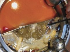 -快乐小羊(富强中路店)