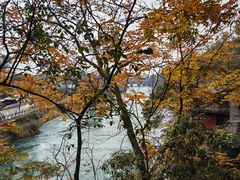 -都江堰景区