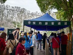 -武汉大学-樱园