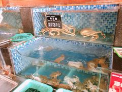 -浩运·海鲜青岛菜·海胆水饺(石老人店)