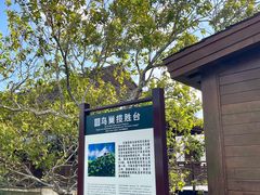 -三亚亚龙湾人间天堂鸟巢度假村