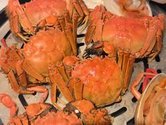 -半岛听涛蒸汽海鲜自助(K11店)