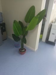 -痘庄专业袪痘皮肤管理连锁